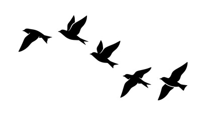 Obraz premium Five Birds Curved Flying Flock Black Silhouette Vector Design