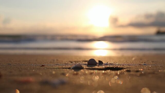 Low-angle video shot of seashells on a sandy beach at sunset, capturing serene ocean vibes. Live desktop wallpaper.