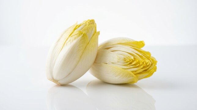 Two fresh belgian endive heads isolated on white background