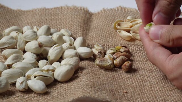 Hand peeling and picking pistachio nuts
