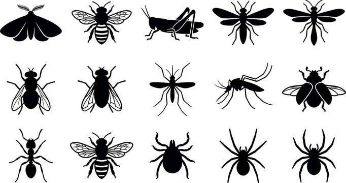 Insects and bugs solid vector icon collection with butterflies bees and spiders illustration design