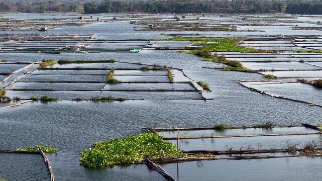 Rows of water filled paddies stretch across the landscape. Paddies are divided by wooden barriers at Waduk Karangkates