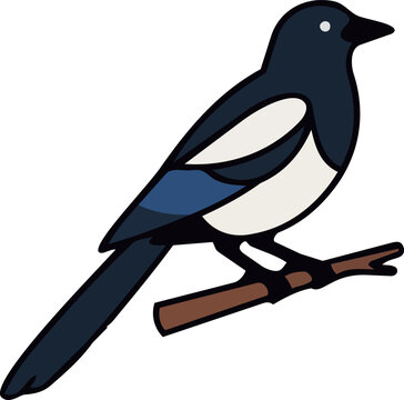 Korean Magpie Bird Perched on a Branch