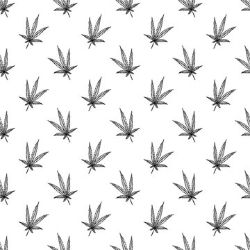 Seamless pattern with hand drawn cannabis leaf Medicine marijuana Hemp leaves For decorative print, wrapping paper, fabric, packaging, background