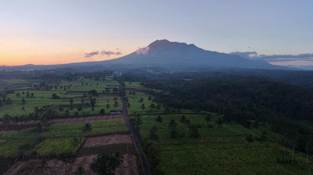 Drone panorama of sugarcane fields at sunrise with Mount Kawi silhouette