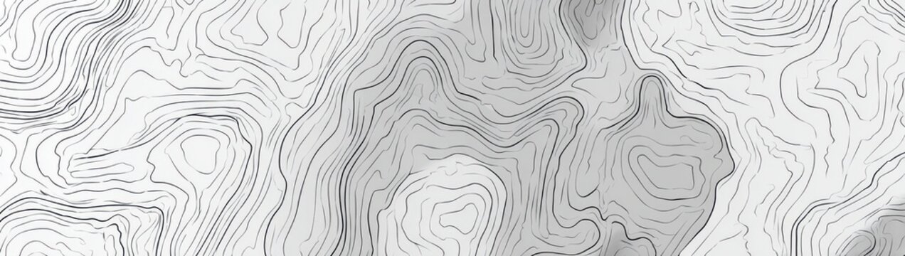 Abstract topographic elevation contour map lines grayscale with topographic abstract grayscale geography elevation cartography geological background geometric navigation physical