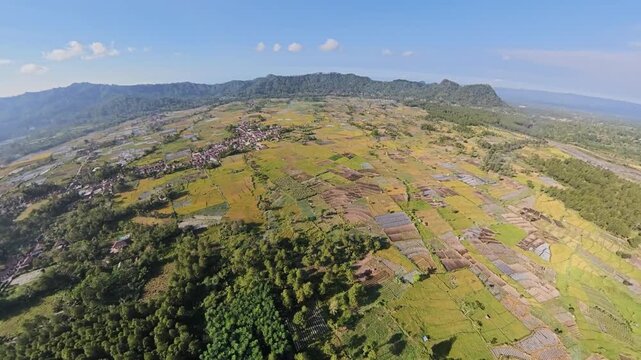 Fisheye drone aerial of Teras Semeru rice terraces, patchwork farmland and forested foothills under clear blue sky.