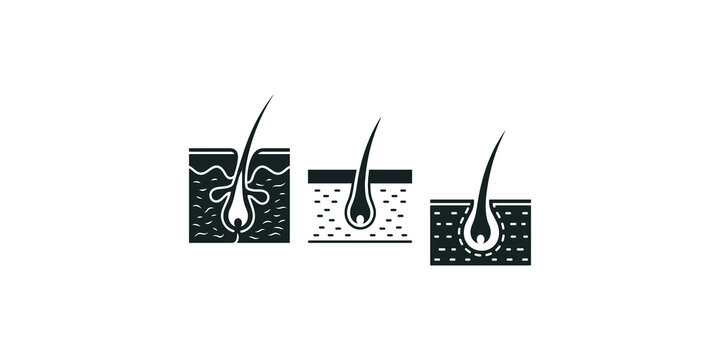 Hair follicle and skin anatomy icons set showing structure for dermatological education and skincare product research analysis.
