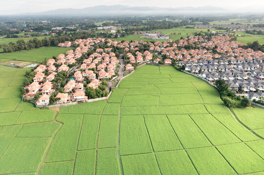 Residential property expansion in San Sai, Chiang Mai, Thailand, featuring housing estates beside green farmland, vacant land, suburban development, real estate investment, construction growth.