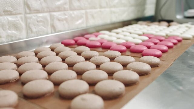 Rows featuring colorful pink white and brown macarons shells resting upon a baking mat upon a stainless steel table within a professional pastry kitchen