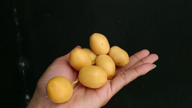 Close-up view of a person's hand holding a bunch of fresh, young yellow dates (khalal stage) against a solid dark black background. Represents concepts of healthy raw food, agricultural harvest