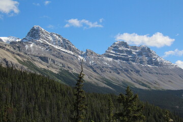 Obraz premium Rocky Top Of The Mountains, Banff National Park, Alberta