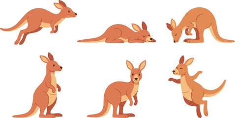 Obraz premium Cute cartoon kangaroo characters collection showing different poses including jumping sleeping standing sitting and bounding australian wildlife vector isolated illustration