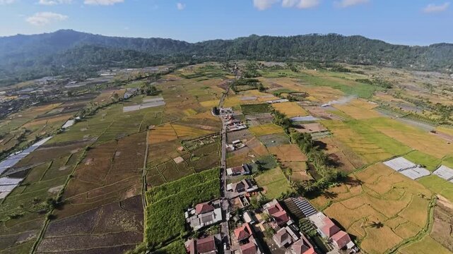 Fisheye aerial drone panorama of rice terraces, villages and patchwork farmland beneath Semeru mountain.
