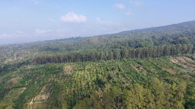 Misty tropical hillside with mixed forest and plantation seen from drone.
