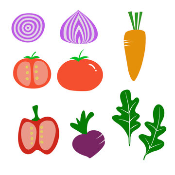 Vegetable vector onion, tomato, carrot, bell pepper beetroot, green vegie