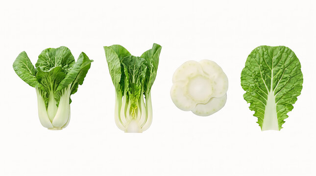 Fresh bok choy leaves and stalks arranged with a cross-section and whole head during studio lighting isolated on white background