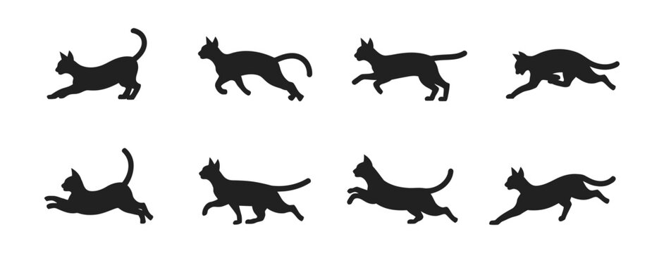 cat run cycle animation sequence with dynamic feline poses, movement frames for character animation games cartoons and vector illustration