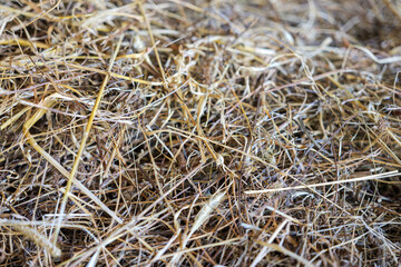 Close-up of loose dry hay with tangled grass stems, creating a natural rustic texture and agricultural background associated with farming, fodder and livestock feed. © Marek