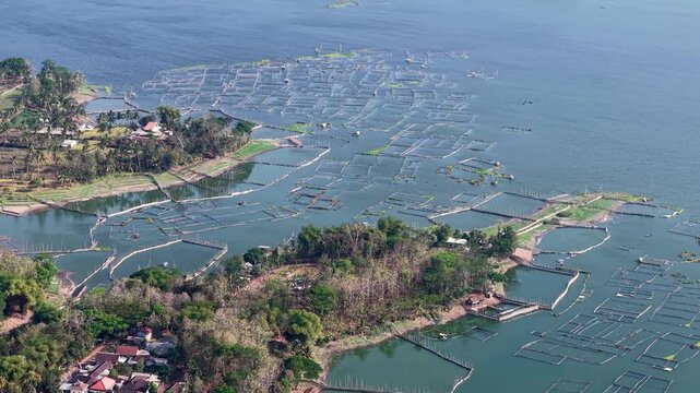 Aerial view of coastal fish farming ponds. Rows of nets stretch across calm waters at Sumberpucung, Malang