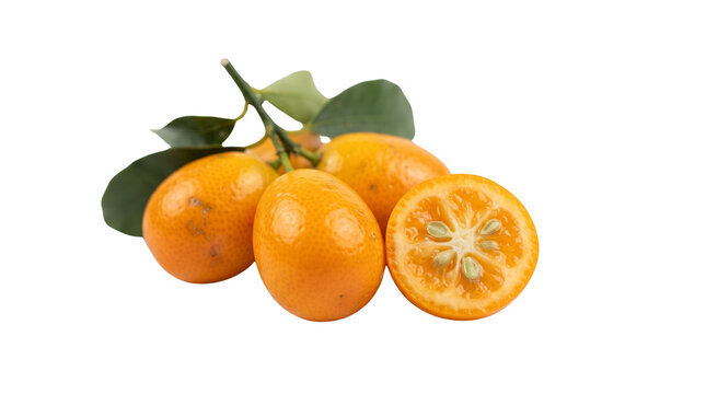 Fresh kumquat citrus fruit with green leaves, ripe orange kumquats isolated on white background, sliced kumquat showing seeds and juicy pulp