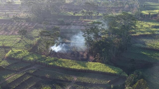 Aerial view captures smoke rising from cleared farmland at rural Malang