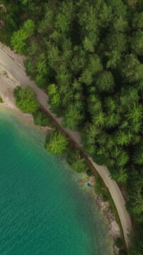 Top Down Drone View of Road and Dense Forest Beside Achensee Lake in the Austrian Alps