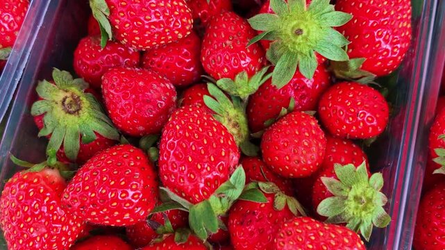The camera moves across red strawberries in a plastic punnet, revealing surface seeds and green leafy tops in close-up.