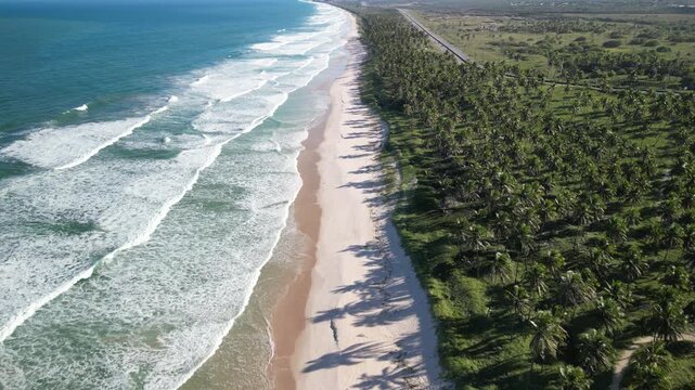 Vista a&eacute;rea da praia paradis&iacute;aca do Franc&ecirc;s, com ondas para surfe, faixa de areia deserta e coqueiros perto de Macei&oacute;, em Alagoas