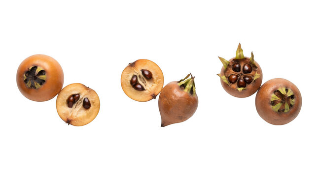 Fresh medlar fruits isolated on transparent background, whole and halved with seeds inside, top view
