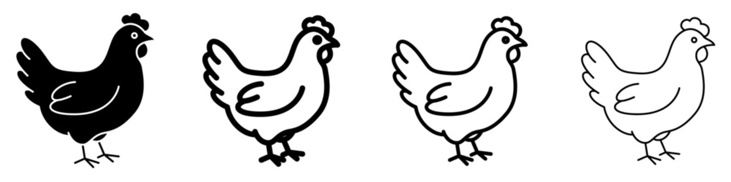 Chicken line icon for farm animal design
