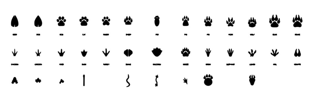 Animal Footprints Set, Minimalist Claw Ideograms Design. Wildlife Tracking Icons, Vector Illustration for Nature Concept
