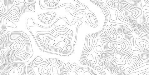 Topographic map vector background, abstract contour lines on white, minimalist geographic terrain pattern for outdoor adventure and hiking design © SELIM