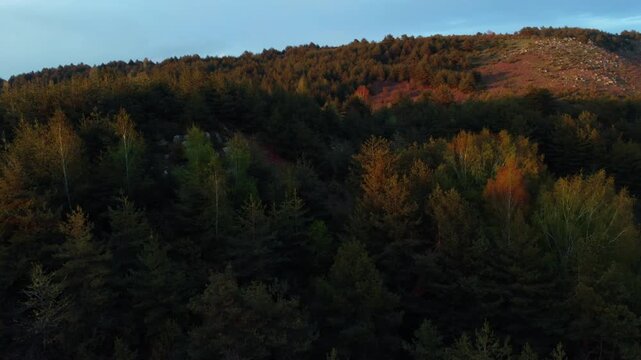 Dense mixed forest with autumn foliage covers the hillside near Livaditis, a high-altitude village in Xanthi Region, Eastern Macedonia and Thrace, Greece.