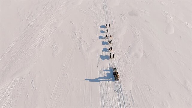 Static aerial shot captures a dog sled team pulling a sled across bright Svalbard snow reflecting the teamwork and tradition of Arctic dog sledding