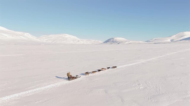 A musher and a team of husky dogs pull a sled across a vast snow covered valley in Svalbard, framed by low snowy mountains under a clear sky, static shot