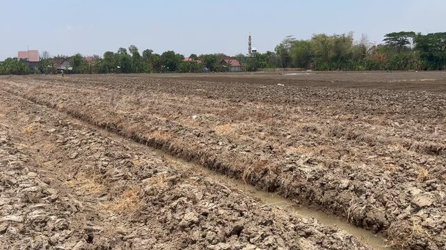 Prepared Agriculture Soil Ridges Texture in Southeast Asia