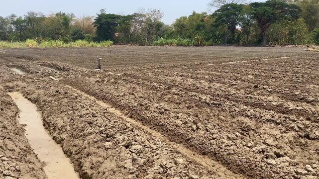 Dry Ploughed Soil Ridges in Agricultural Field