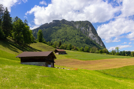 Swiss Alps rural landscape with traditional wooden chalet and green meadow