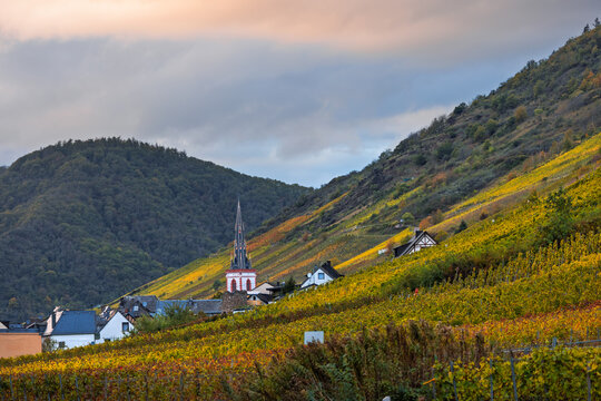 Bremm village church and Moselle Valley vineyards in autumn