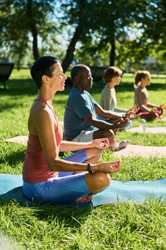 Vertical shot of multiethnic diverse group with middle aged Caucasian woman and African American man practicing yoga meditation outdoors, perfect for mindfulness mental health campaign