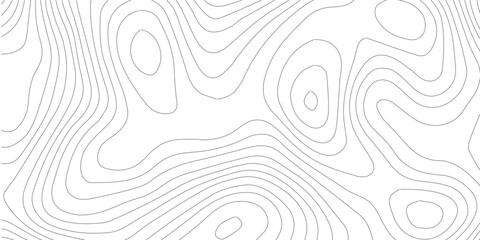 Topographic map vector background, abstract contour line pattern, minimalist geography relief texture, white topographic landscape illustration © SELIM
