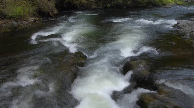 二つの流れが合わさる川 シームレスループ動画背景 16:9 4K