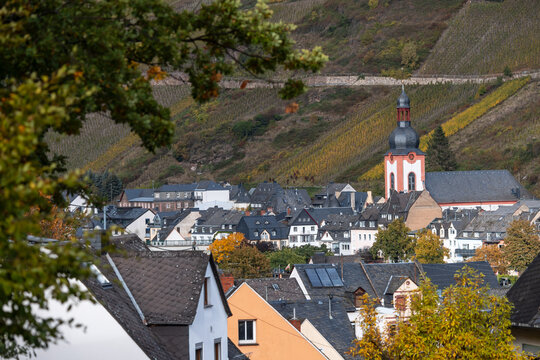 Zell Mosel valley town with vineyards and church