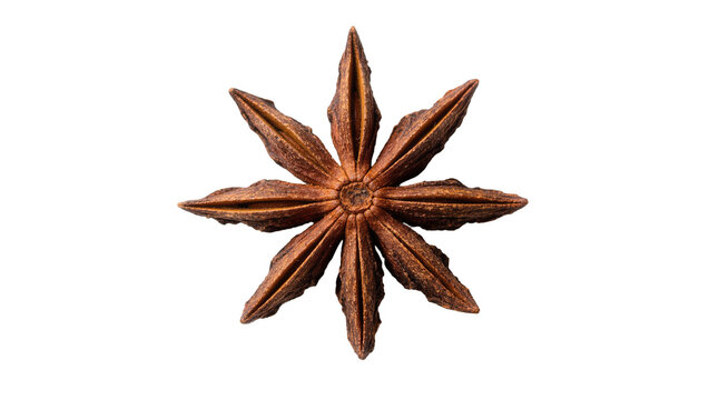 Brown star anise spice pod with eight pointed segments, isolated on transparent background