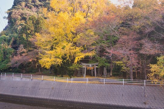 対馬　那須加美乃金子神社