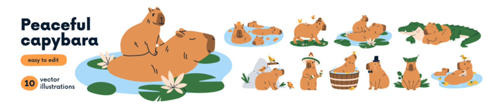 Funny adorable capybaras set. Cute capibaras swimming and relaxing in water, bathing, walking, playing. Amusing nice animal characters. Childish flat vector illustrations isolated on white background