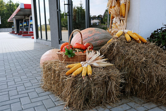 Autumn Harvest Display With Pumpkins Corn And Hay Bales Outdoors