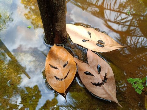 Halloween mask, leaf mask in a pond, calls from demons, scary, creepy, spooky mask, don't follow my voice. If you don't want to have. Copy space.