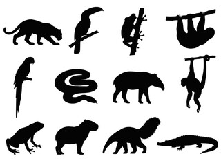 Fototapeta premium Rainforest Tropical Animals Silhouette Set Vector - Jaguar Toucan Sloth Tapir Snake Monkey Capybara Anteater Wildlife Icons